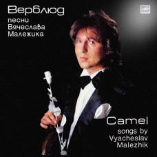 Грампластинка Вячеслав Малежик / Саквояж ‎– Верблюд (used)